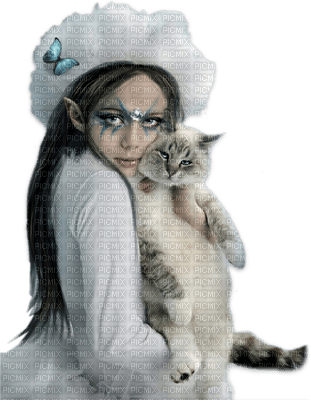 fairy with cat - PNG gratuit
