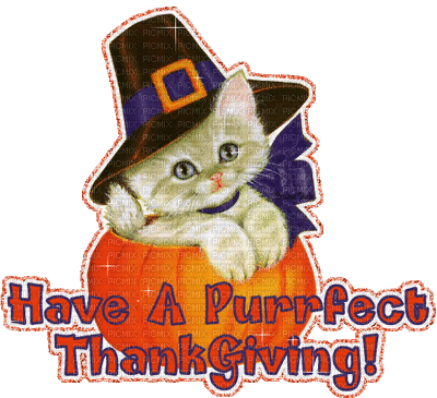 Have a perfect thanksgiving - GIF animado gratis