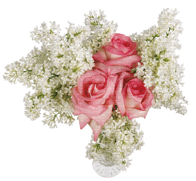 Kaz_Creations Flowers Flower - ilmainen png