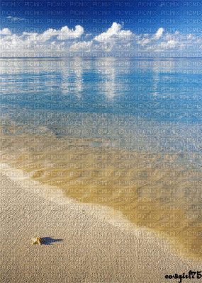 fond beach bp - Δωρεάν κινούμενο GIF