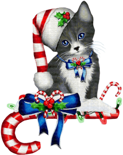 Christmas.Cat.Gray.Red.Blue - KittyKatLuv65 - Free PNG
