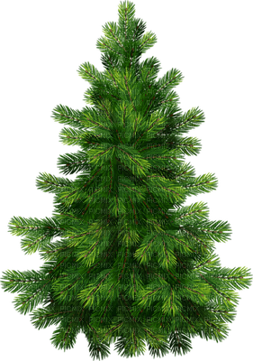 Kaz_Creations Christmas Trees Decorations