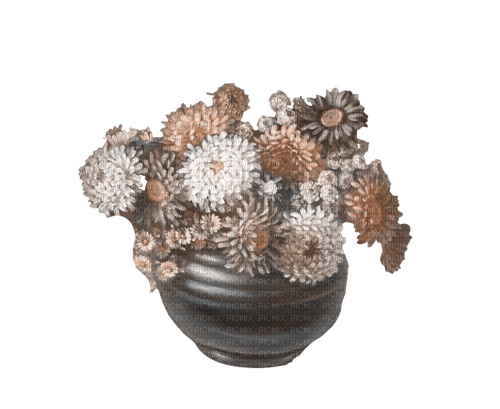 dolceluna spring vase flowers flower summer - 無料png