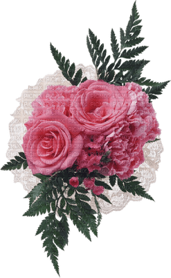 patymirabelle marguerite rose - PNG gratuit