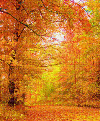 Autumn.Automne.Fond.Landscape.Victoriabea - Kostenlose animierte GIFs
