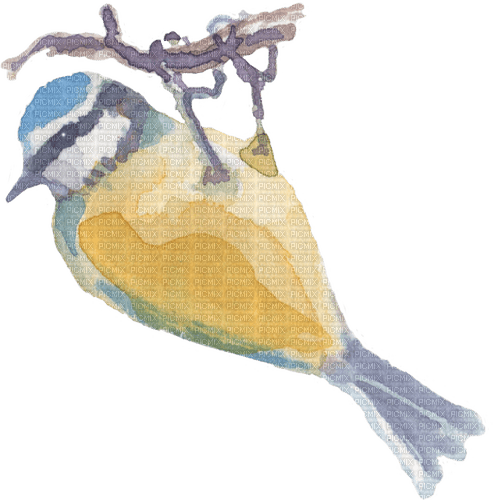 bird painting Bb2 - ilmainen png