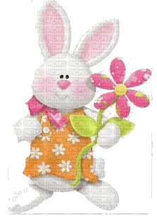 easter bunny - nemokama png