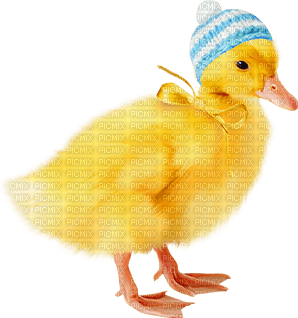Easter Duck - PNG gratuit