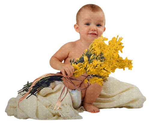 loly33 bébé fleur - безплатен png