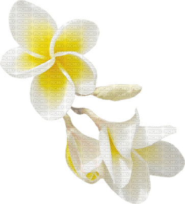 fleur jaune.Cheyenne63 - besplatni png