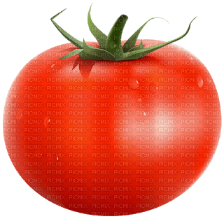 tomate - zdarma png