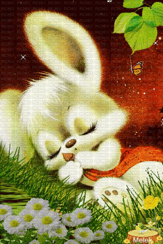 Sweet Bunny - GIF animate gratis