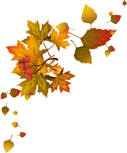 autumn Bb2 - nemokama png