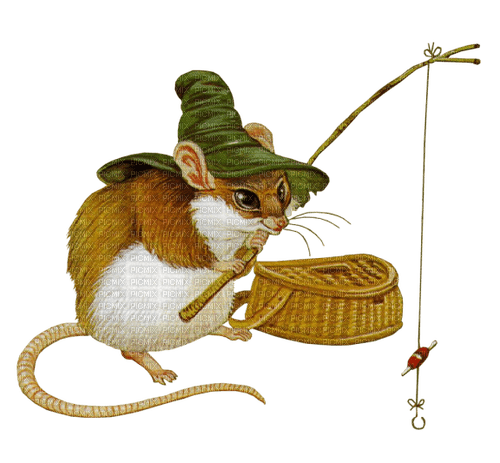 mouse by nataliplus - PNG gratuit