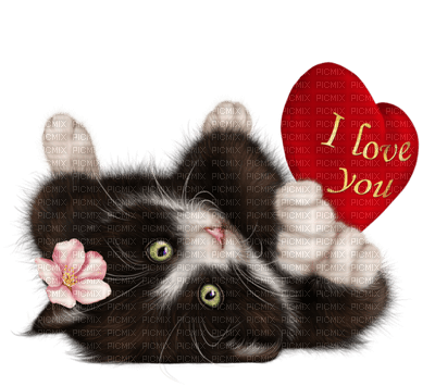 Kaz_Creations Cat-Valentine's-Day - PNG gratuit