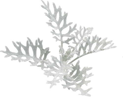 winter branch by nataliplus - zdarma png