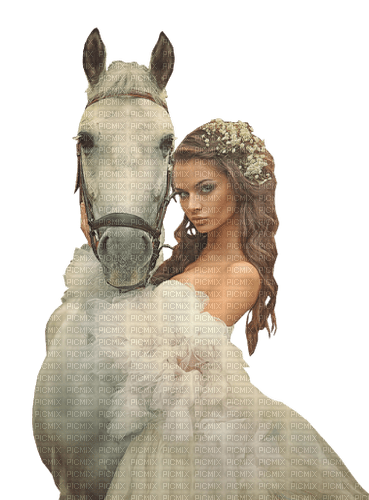 cheval - Free PNG