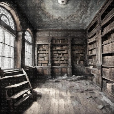 Grey Old Library - darmowe png