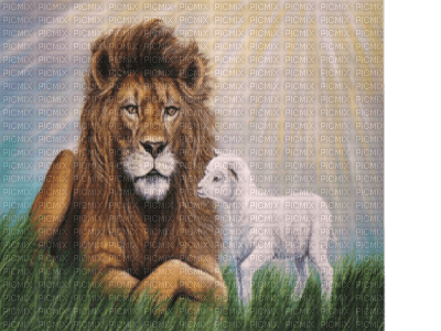 The Lion and the Lamb bp - zdarma png