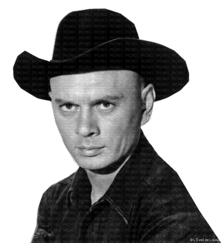 yul brynner - png gratuito