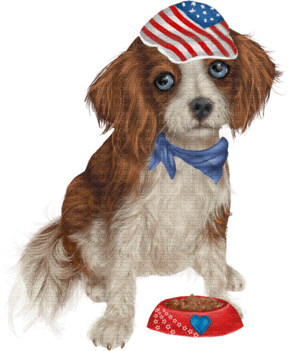 Dog.Patriotic.4th Of July - png gratis