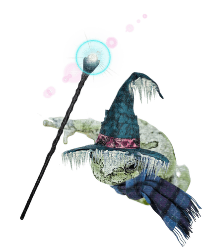 ice wizard frog - PNG gratuit