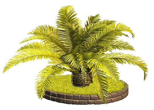palm tree - Animovaný GIF zadarmo