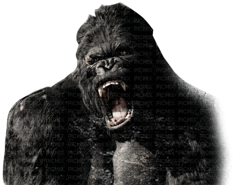 King Kong bp - besplatni png