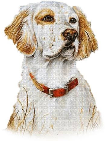 soave animals vintage autumn dog deco white brown - PNG gratuit