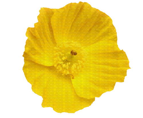 Flower - безплатен png