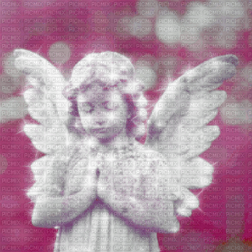 Angel in Pink - GIF เคลื่อนไหวฟรี