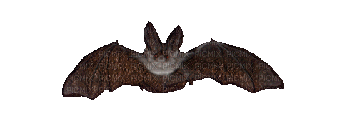 Halloween.Bat.Murciélago.gif.Victoriabea - Безплатен анимиран GIF