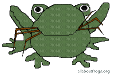 allaboutfrogs.org - GIF animé gratuit