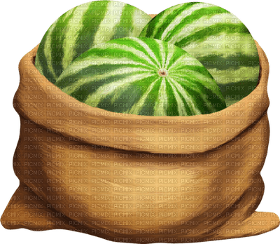 watermelon bp - bezmaksas png
