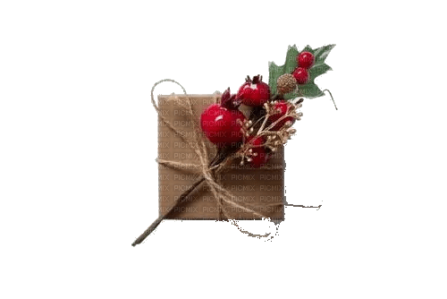 Christmas cadeau - zdarma png