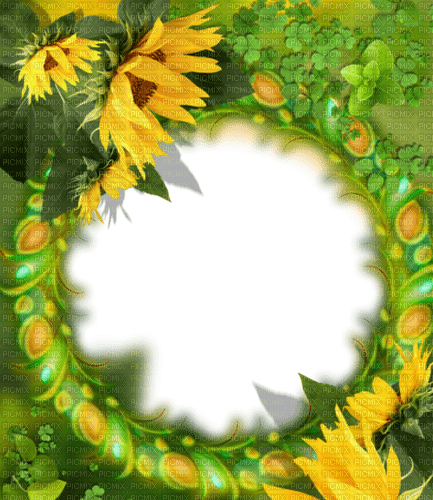 loly33 frame tournesol - 免费PNG
