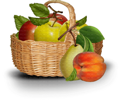 patymirabelle fruits - ilmainen png