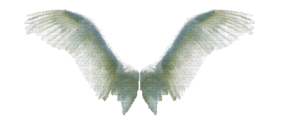 wings flügel coulisses white angel ange engel fantasy tube gif anime animated animation - 無料のアニメーション GIF