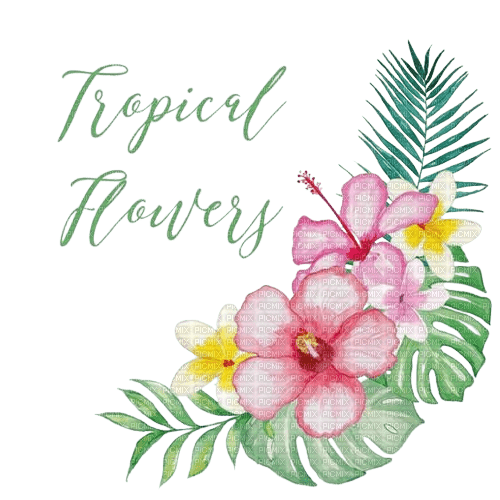 loly33 texte tropical flowers - безплатен png
