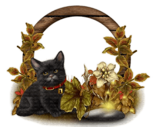 Herbst, Deko, Katze, Autumn - PNG gratuit