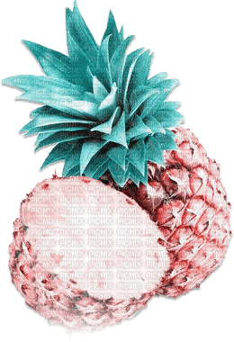 soave deco fruit ananas pineapple summer tropical - bezmaksas png