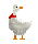 Bird - Darmowy animowany GIF