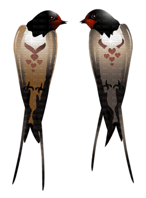 Kaz_Creations Spring Deco Birds - PNG gratuit