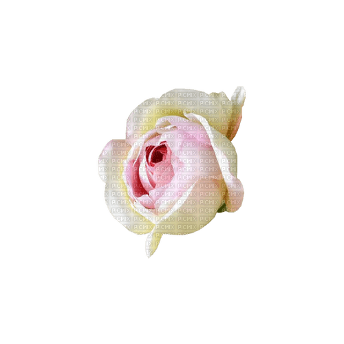 kikkapink deco scrap rose flower - darmowe png