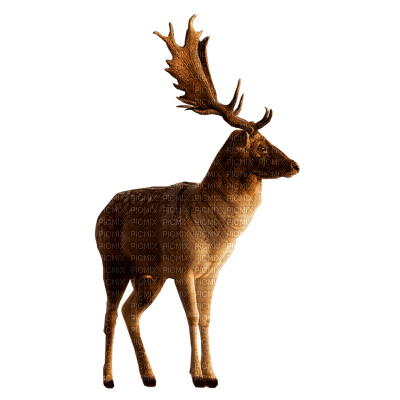 Kaz_Creations Deer - nemokama png