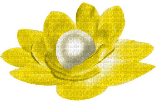 Flower.Pearl.Yellow.White - 免费PNG