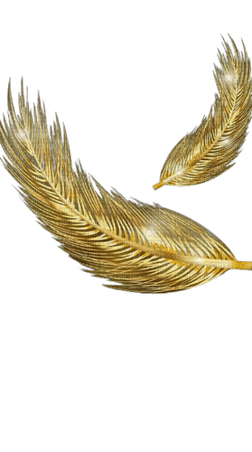 gold feathers - PNG gratuit