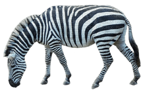 Kaz_Creations Zebra - bezmaksas png