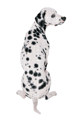 Kaz_Creations Animals Dogs Dog Pup - 無料png