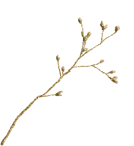 invierno rama dorada - 無料png